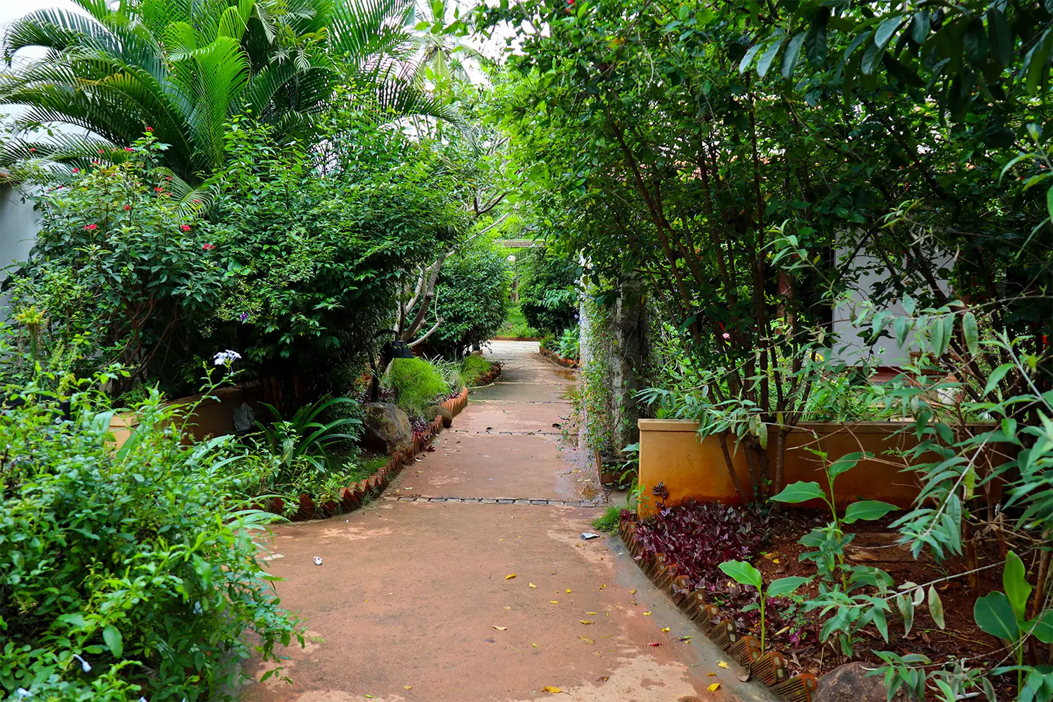 Water infrastructure at Malhar