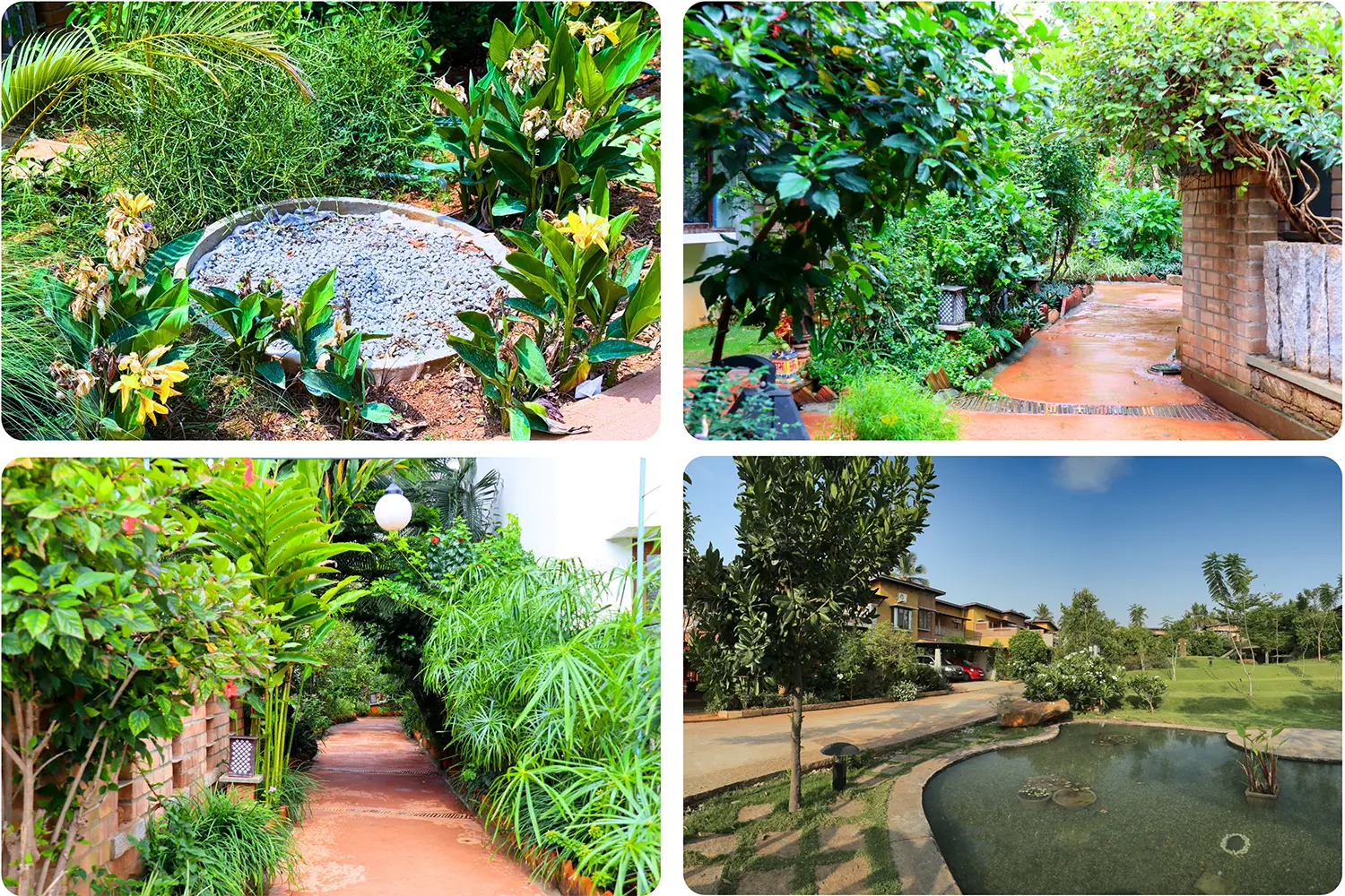 Malhar community collective water stewardship